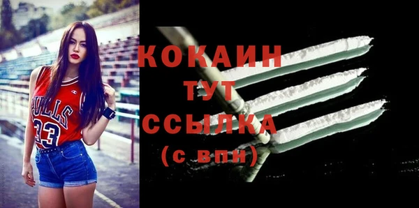 дживик Ладушкин