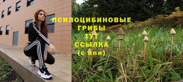 дживик Ладушкин