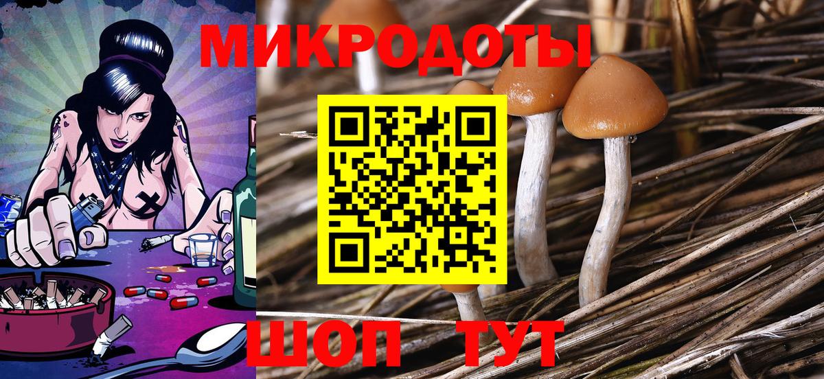 Галлюциногенные грибы Psilocybine cubensis  Псилоцибиновые грибы GOLDEN TEACHER  Мегион  Вход с VPN 