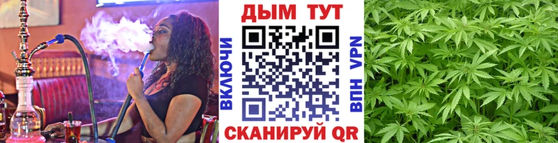 как найти закладки  Мегион  Бошки Шишки индика 